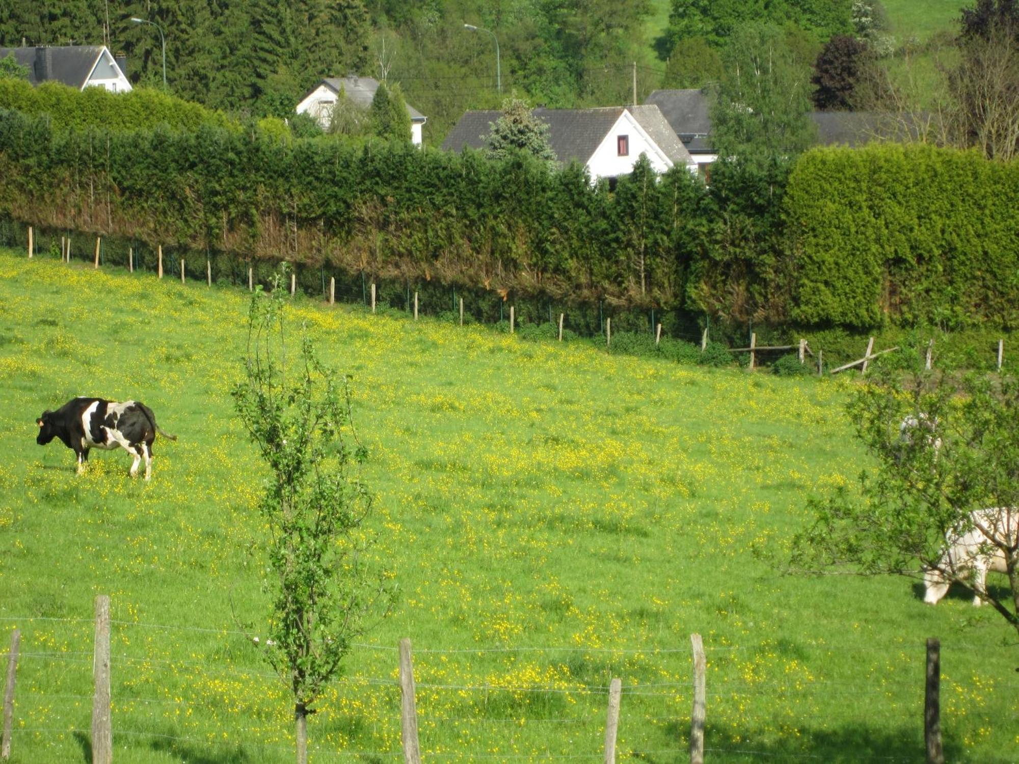 Contemporary Holiday Home In Houffalize With Private Garden Eksteriør billede